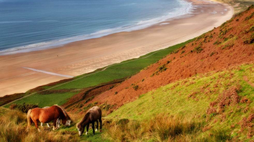 Rhossili Bay is ideal for a nature-filled hike